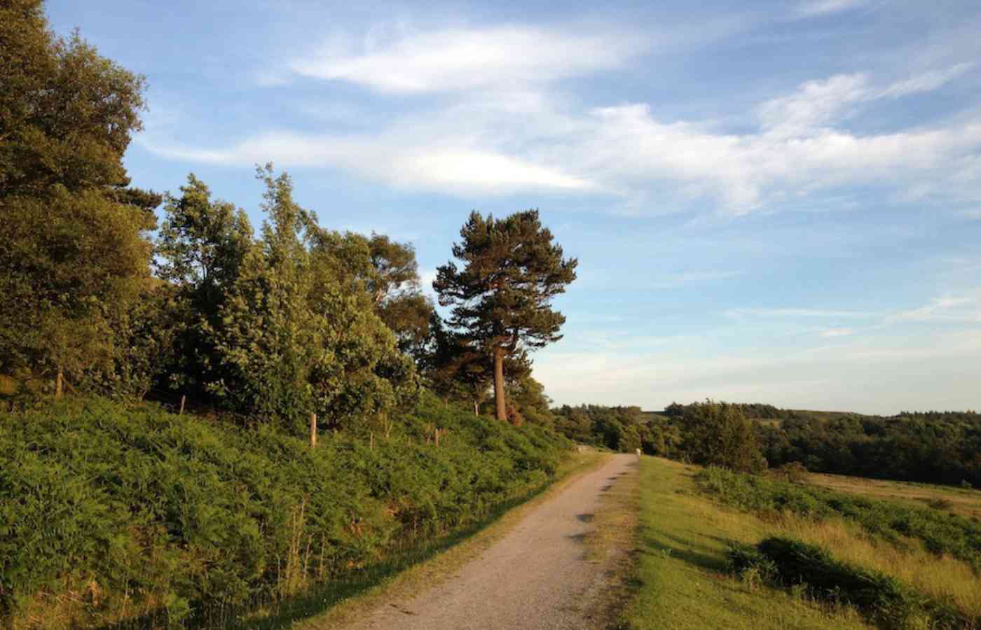 1373830837 145313 73