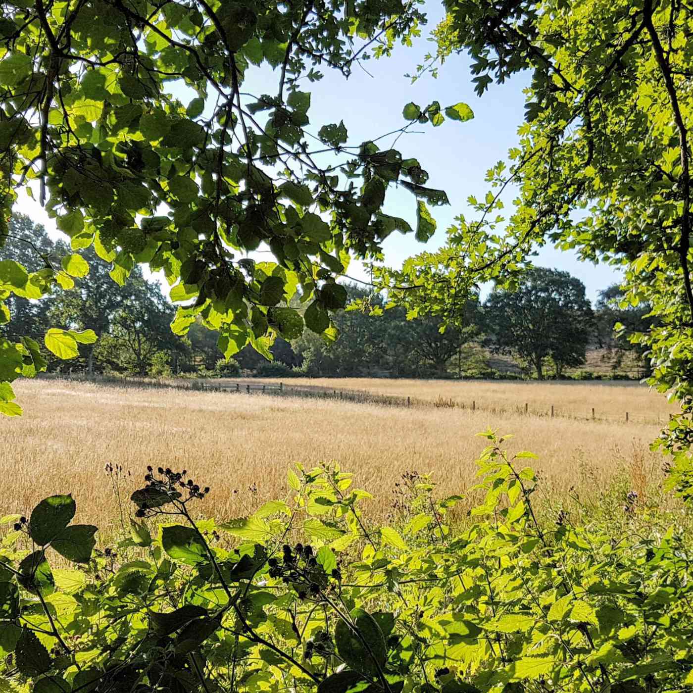 Richard loader rv Fam R39 TW8 unsplash